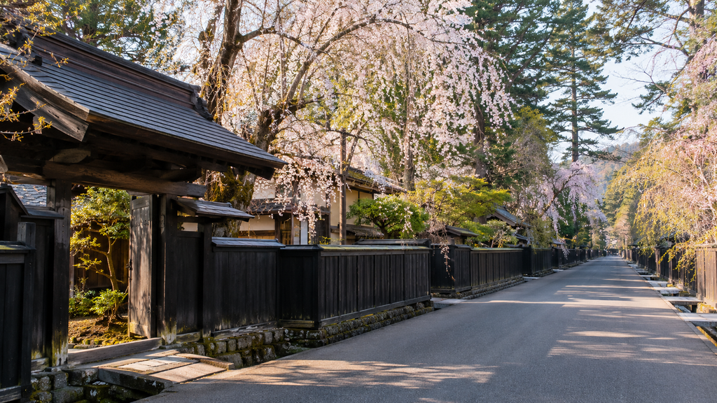 Kakunodate samurai district in Akita during cherry blossom season