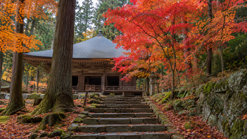 Autumn temple scenery inspired by Hiraizumi in Iwate Japan