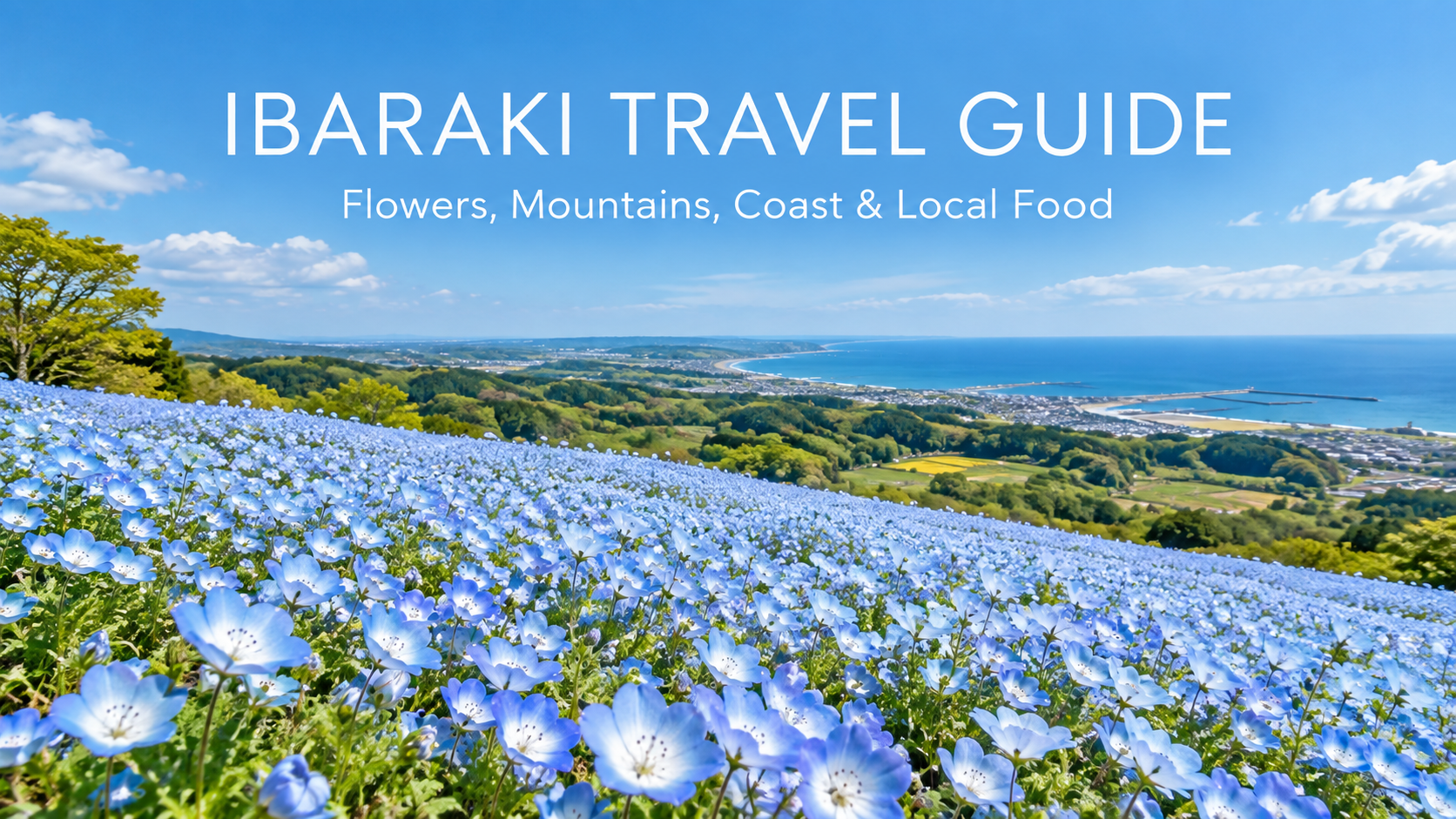 Ibaraki Travel Guide title over blue flowers and the Pacific coast in Japan