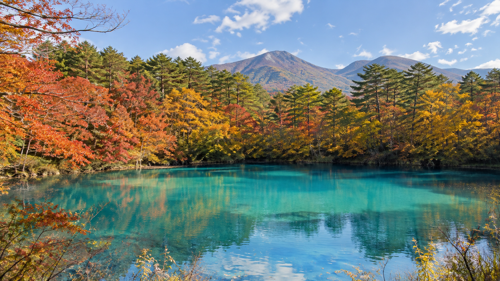 Brilliant blue Goshikinuma pond surrounded by autumn forest in Urabandai