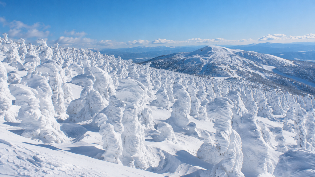Frost-covered snow monsters on Mount Zao under a clear blue winter sky